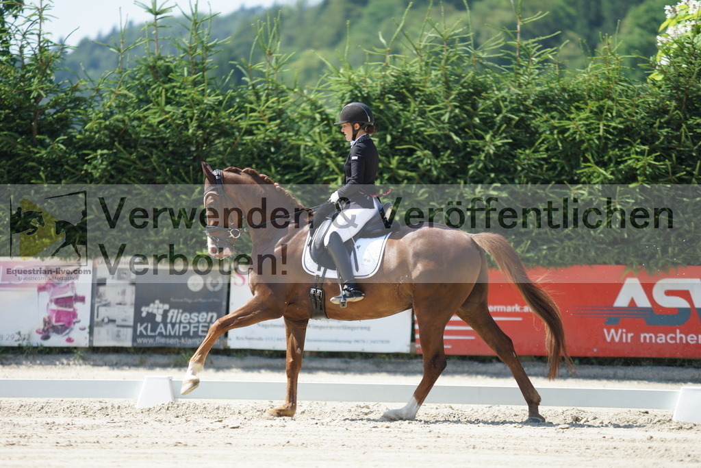 DSC02292 | equestrian-live-com