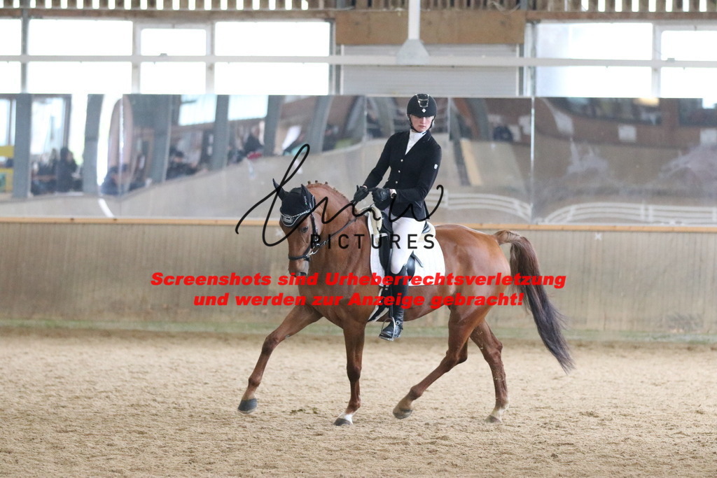 IMG_7400 | lmwpictures - Realisiert mit Pictrs.com