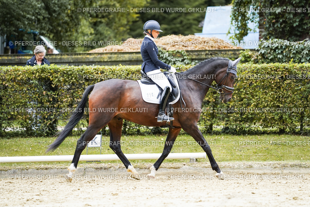 DSC09809 | Pferdegrafie