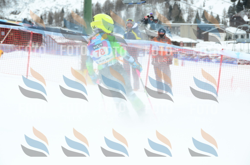 DSC_1108 | holidayphoto