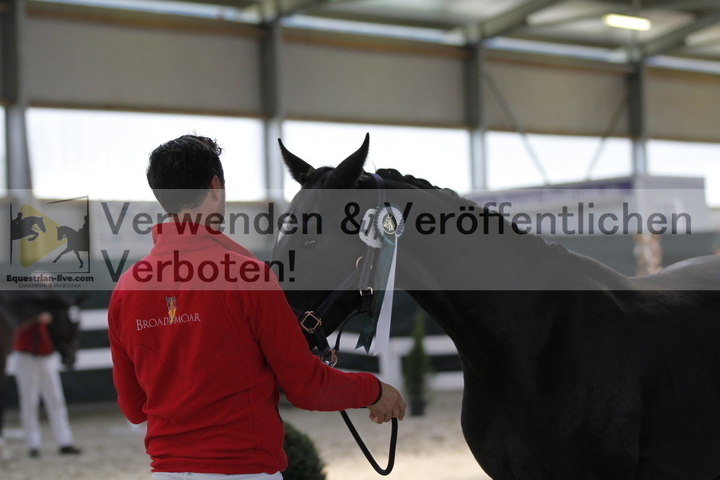 _MG_0002 | equestrian-live-com