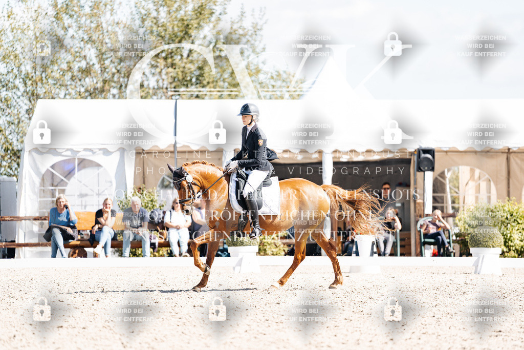 CK903561 | Turnierfotografie Pferdefotografie Trier Rheinland-Pfalz Pferdesport Reitsport Tierfotografie Sportfotografie Pferdevideo Pferdevideografie Equestrianvideography equestrianphotography  - Realisiert mit Pictrs.com