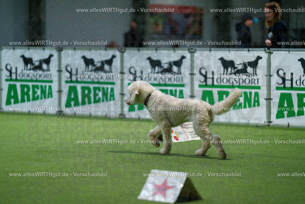 7R505521 | Professionelle Tierfotografie in Mönchengladbach von Daniel Wirth (allesWIRTHgut). Liebevolle & natürliche Bilder von Hunden & Katzen für unvergessliche Erinnerungen.