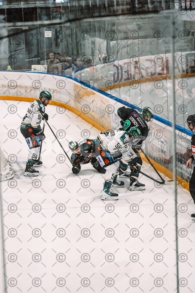 Alligators_vs_Erding_12_12_2025-192 | Höchstadt Alligators Fotogalerie: Eishockey-Action aus Franken. Professionelle Spielfotos, Portraits & Stadionbilder zum Download. Jetzt entdecken! - Realisiert mit Pictrs.com