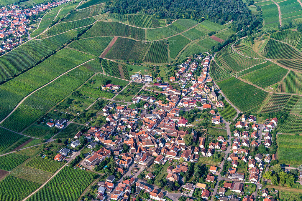 Luftbild: Weinlage Kastanienbusch hinter dem Weinort von Osten in Birkweiler im Bundesland Rheinland-Pfalz in Deutschland. Foto: IMG_142970.jpg vom 03.08.2024 durch Werner Riehm/FLY-FOTO.de