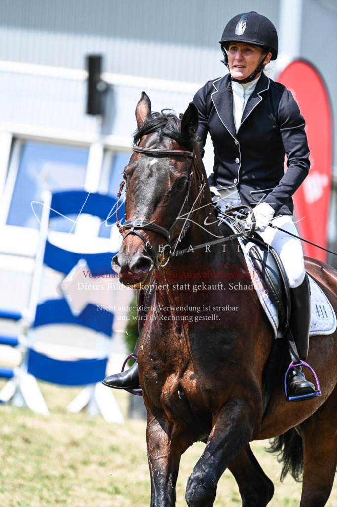 DSC_8889 | Pferde- und Turnierfotografie in Westsachsen. Pferdeportraits, Auftragszeichnungen und intuitive Kunst.