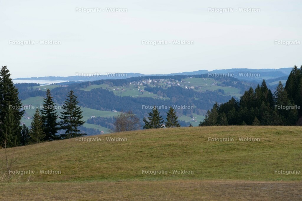 20221111 Amoklauf in Mittelschule Haselstauden | Drei Länder Blick
Bödele