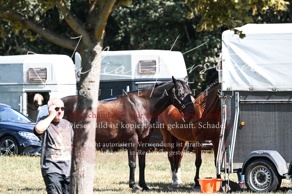 DSC_7081 | Pferde- und Turnierfotografie in Westsachsen. Pferdeportraits, Auftragszeichnungen und intuitive Kunst.