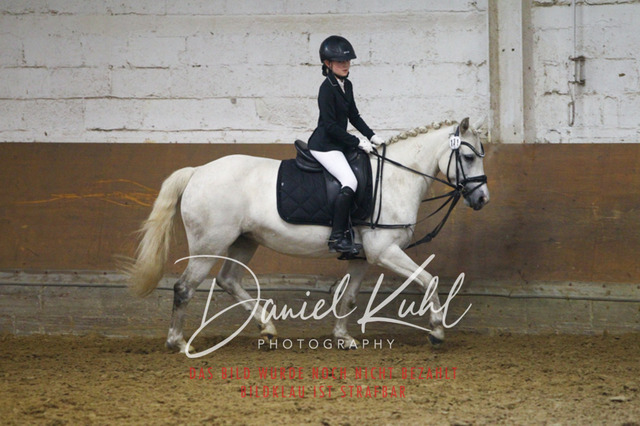 DKP44095 | Turniersportfotografie; Pferdefotografie; Dressurfotografie