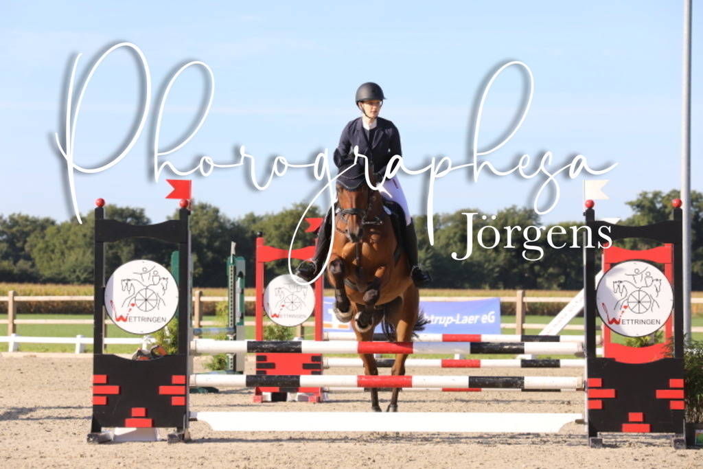 IMG_6352 | photographesa-joergens - Realisiert mit Pictrs.com