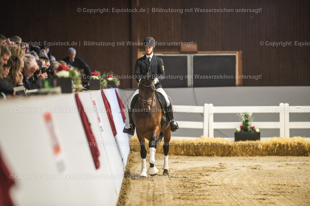 20240302_Hengstvorstellung_Marbach_TOMsPiC_0118 | equistock