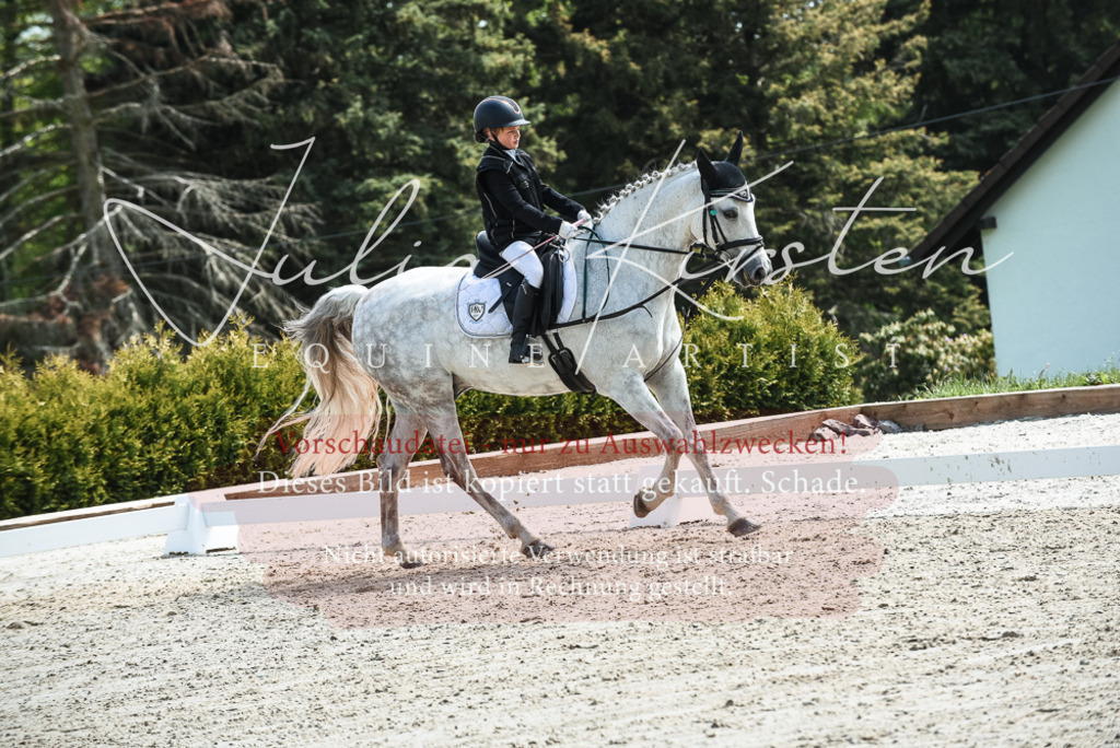 20230518_JK-Röhrsdorf-11-0460 | Pferde- und Turnierfotografie in Westsachsen. Pferdeportraits, Auftragszeichnungen und intuitive Kunst.
