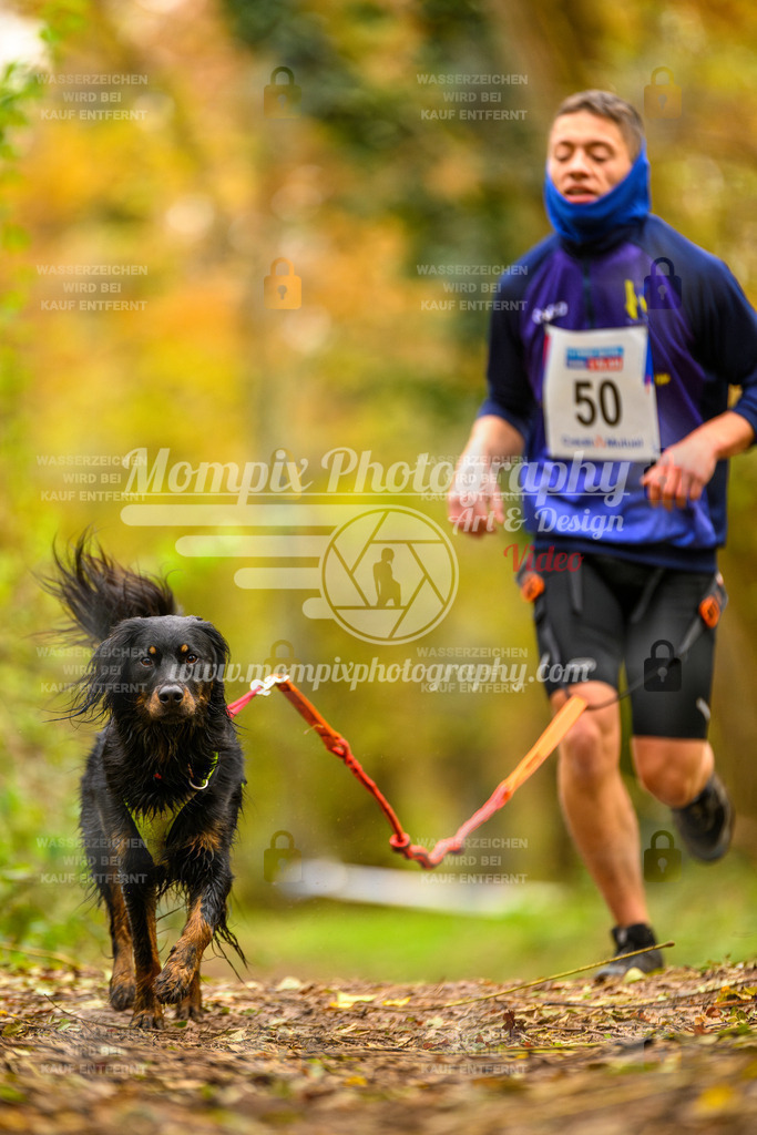 MompixPhotography_Bischwiller24_SA_Canicross-59 | mompixphotography