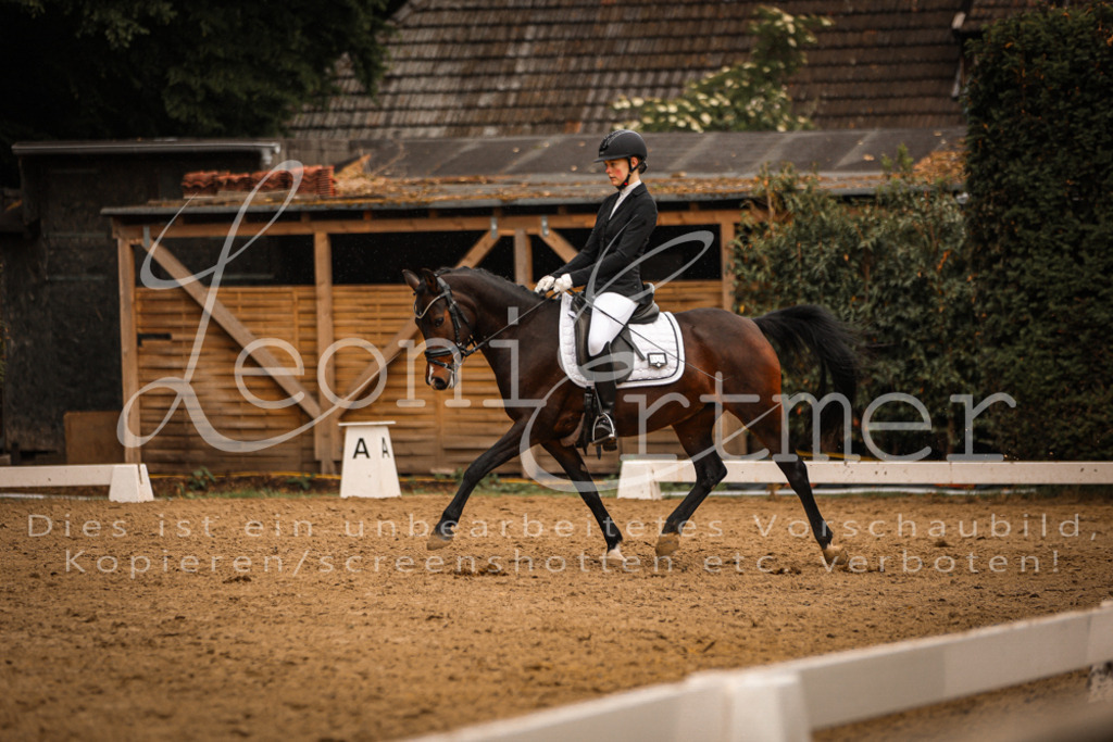 DoDrA00450 | Leoni Ertmer Photography - Realisiert mit Pictrs.com