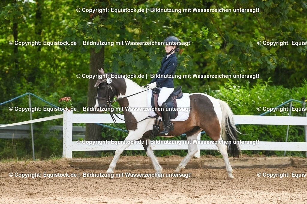 20230716_10-2_Reiter-WB Schritt - Trab - Galopp_0163 | equistock