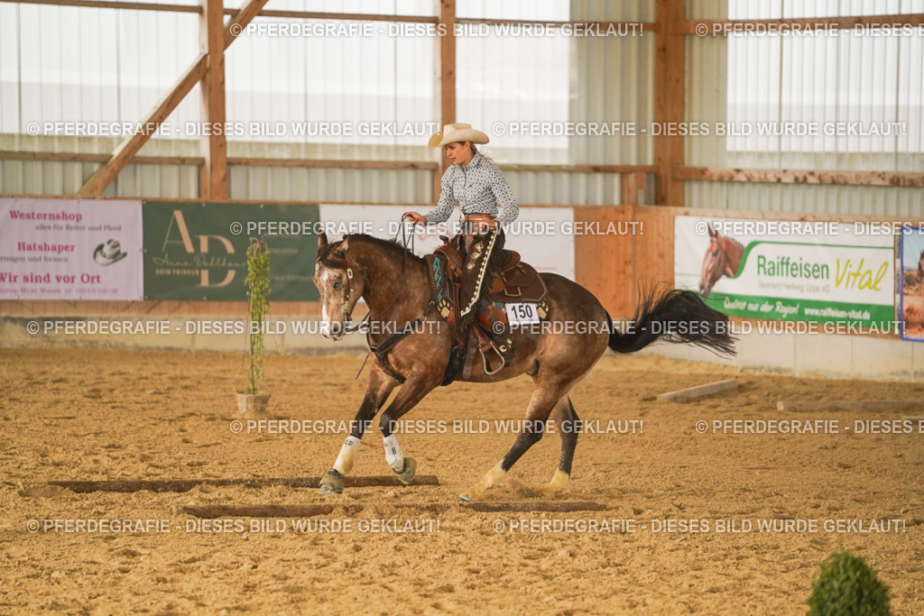 DSC02759 | Pferdegrafie