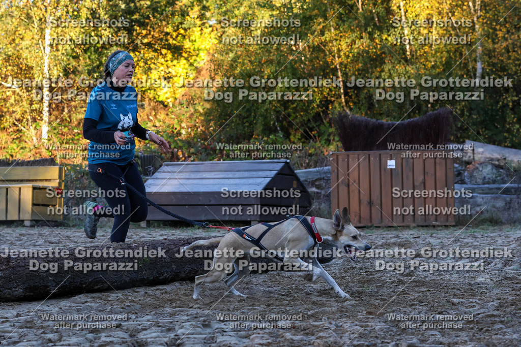 Dog Paparazzi - Strongdog 10-25-496 | Dog Paparazzi Jeanette Grottendiek Fotografie & Videografie - Realisiert mit Pictrs.com