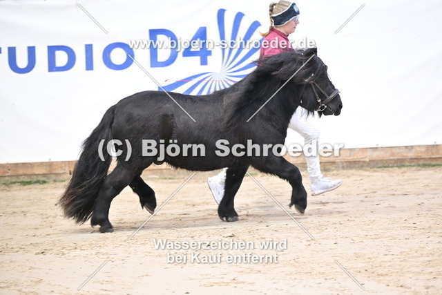 22_Lorenzo v. den Hartoghoeve - Nelson v.Ramsburg_963_0310 | Björn Schroeder Pferdefotografie