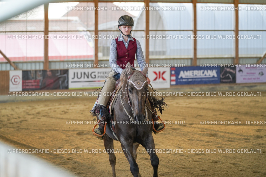 DSC08741 | Pferdegrafie