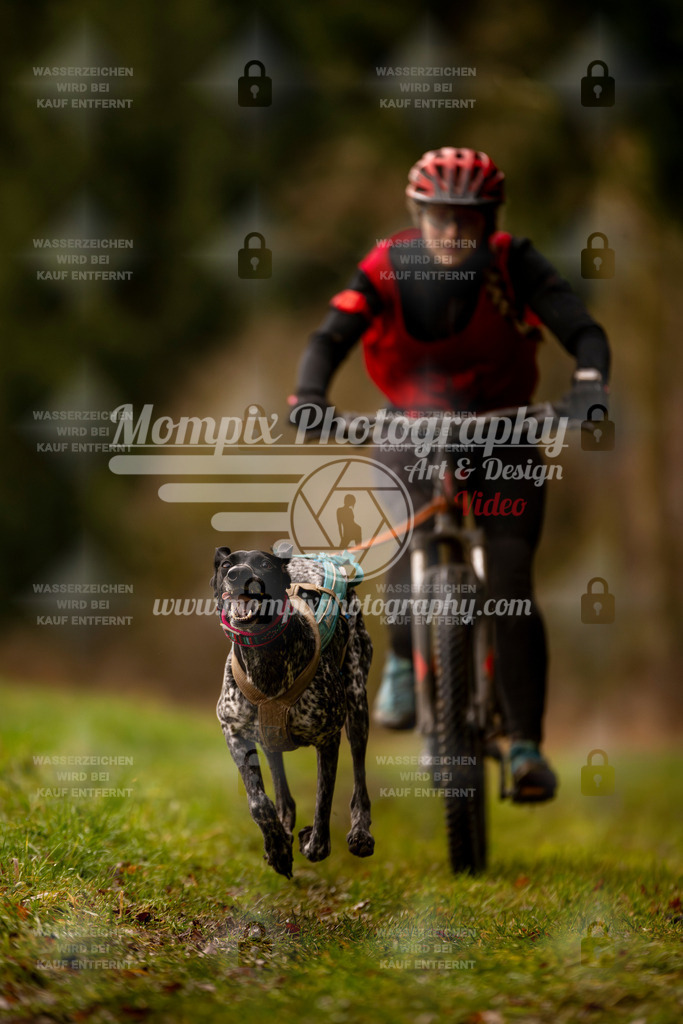 MompixPhotography_2SSTSSBW_2025_SO_Bike-73 | PayLife