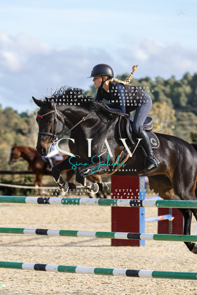 IMG_4441 | s-jay-photography - Realisiert mit Pictrs.com