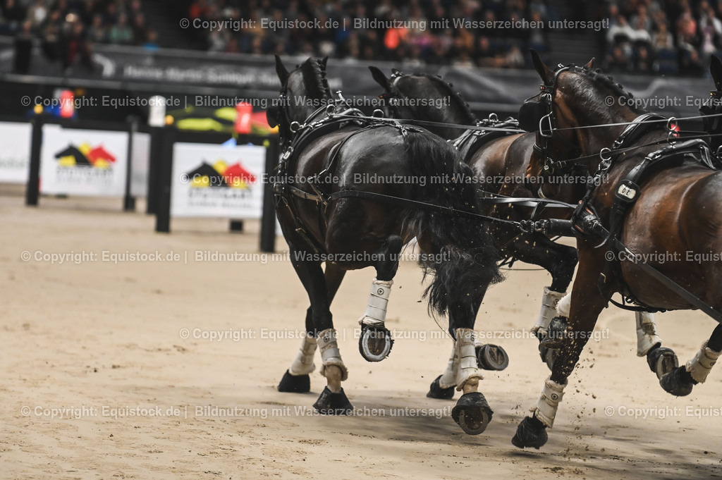 20241116_Fahren-Masterhorse_TOMsPiC_0011 | Foto: Thomas Hartig