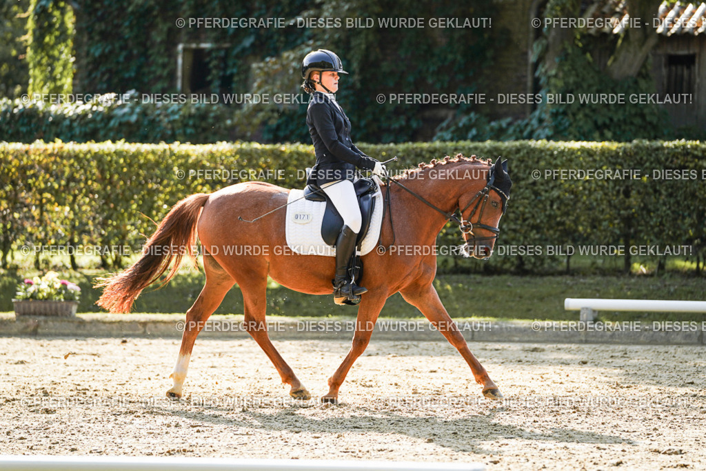 DSC05995 | Pferdegrafie