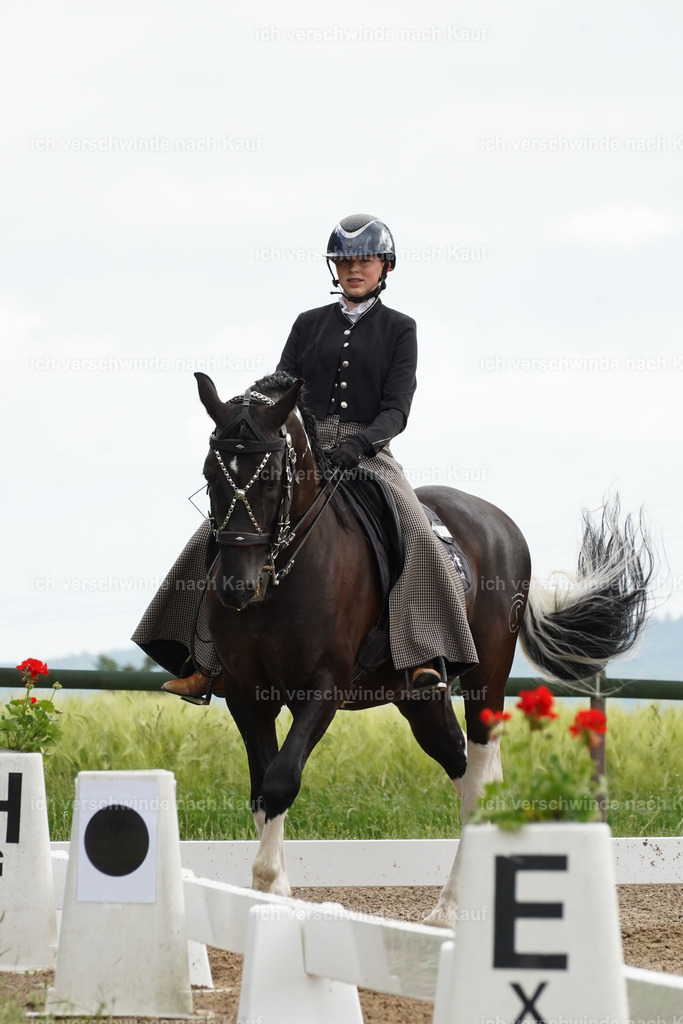 KlasseL_Lucie (4) | working equitationturnier fotograf videograf stoibphotography marixx film working equitation deutschland reitsport turnierfotografie eventfotografie equestrian events