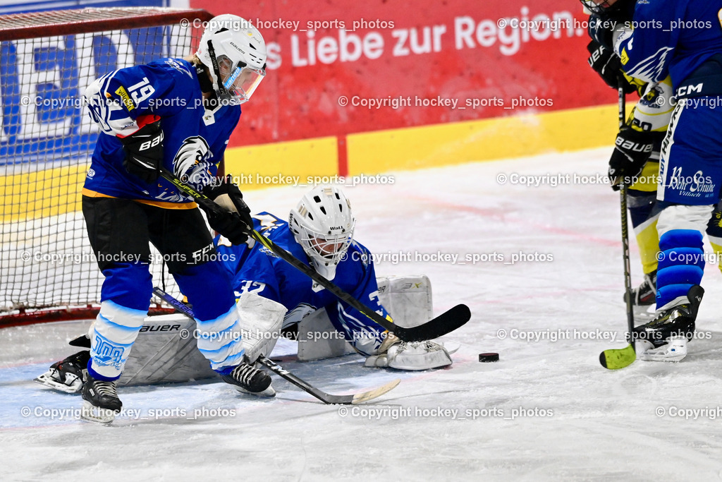 LADY HAWKS vs. WILDCATS PATERNION | #19 Vilgut Sara LADY HAWKS, #32 Prasser Hannah Sophie LADY HAWKS, LADY HAWKS vs. WILDCATS PATERNION, LADY HAWKS vs. WILDCATS PATERNION am 12.03.2025 in Steindorf (Ossiachersee Halle), Austria, (Photo by Bernd Stefan)