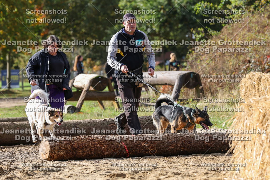 Dog Paparazzi - Strongdog 10-25-5127 | Dog Paparazzi Jeanette Grottendiek Fotografie & Videografie - Realisiert mit Pictrs.com
