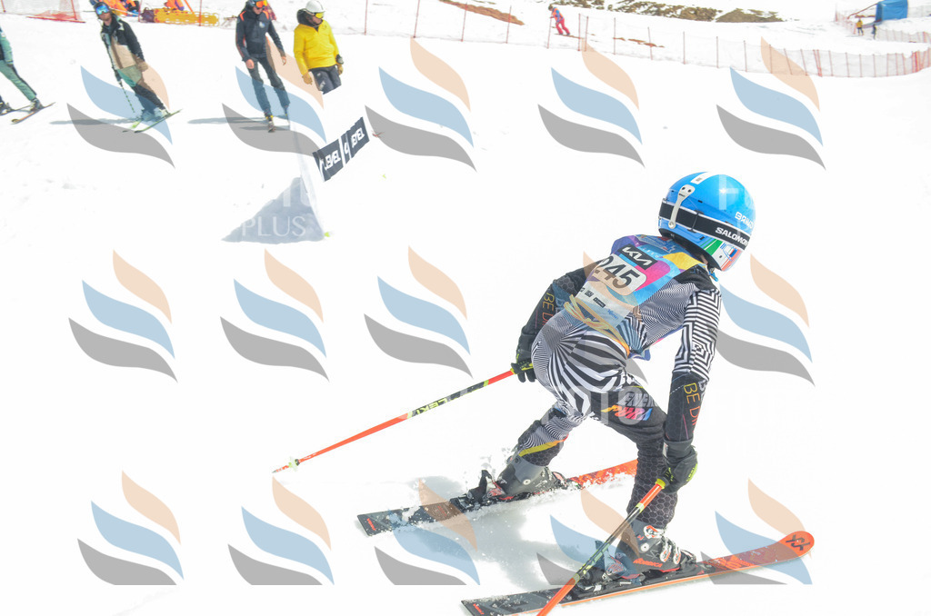 _ELE7482 | holidayphoto