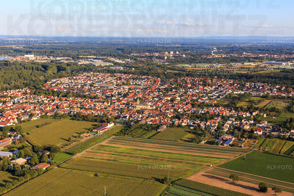 Ortsansicht von Norden | Luftbild: Ortsansicht von Norden in Lingenfeld im Bundesland Rheinland-Pfalz in Deutschland. Foto: IMG_116789.jpg vom 14.08.2019 durch Werner Riehm/FLY-FOTO.de - Realisiert mit Pictrs.com