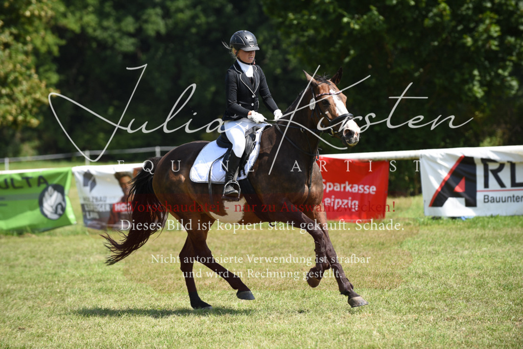 DSC_0062 | Pferde- und Turnierfotografie in Westsachsen. Pferdeportraits, Auftragszeichnungen und intuitive Kunst.