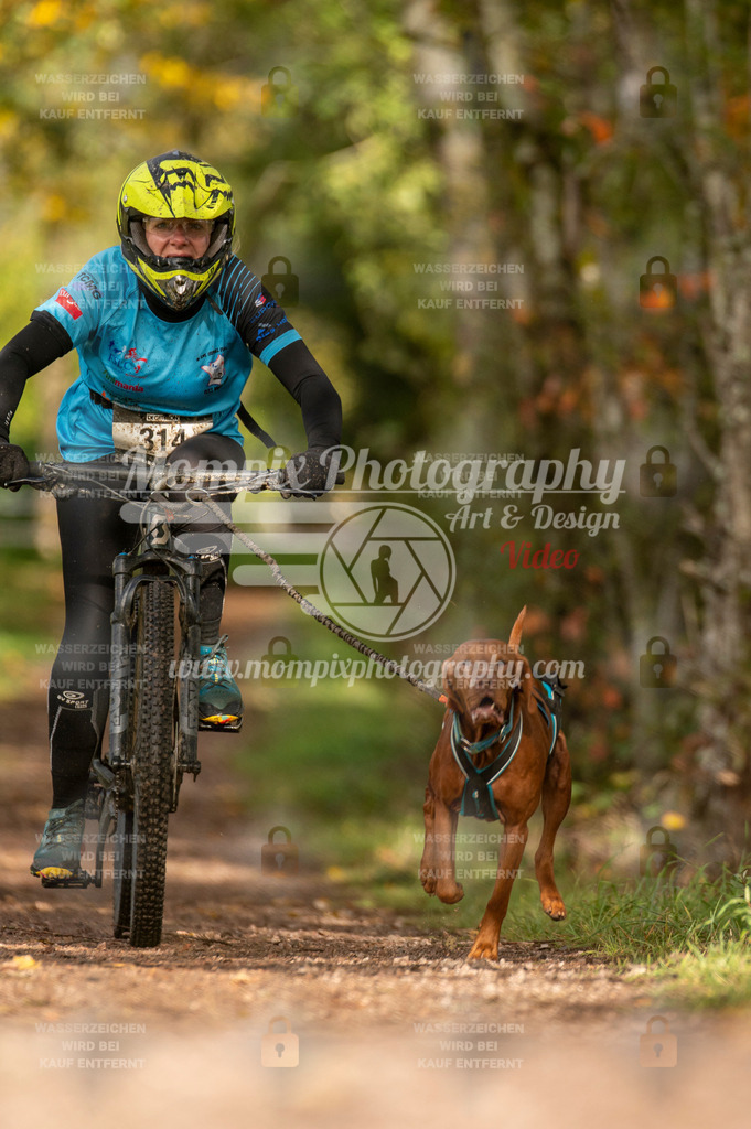 TSB_2023_E4_Bike-78 | PayLife