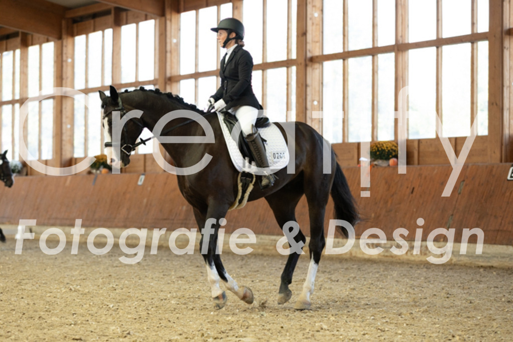 IMG_5155 | Creatify Fotografie