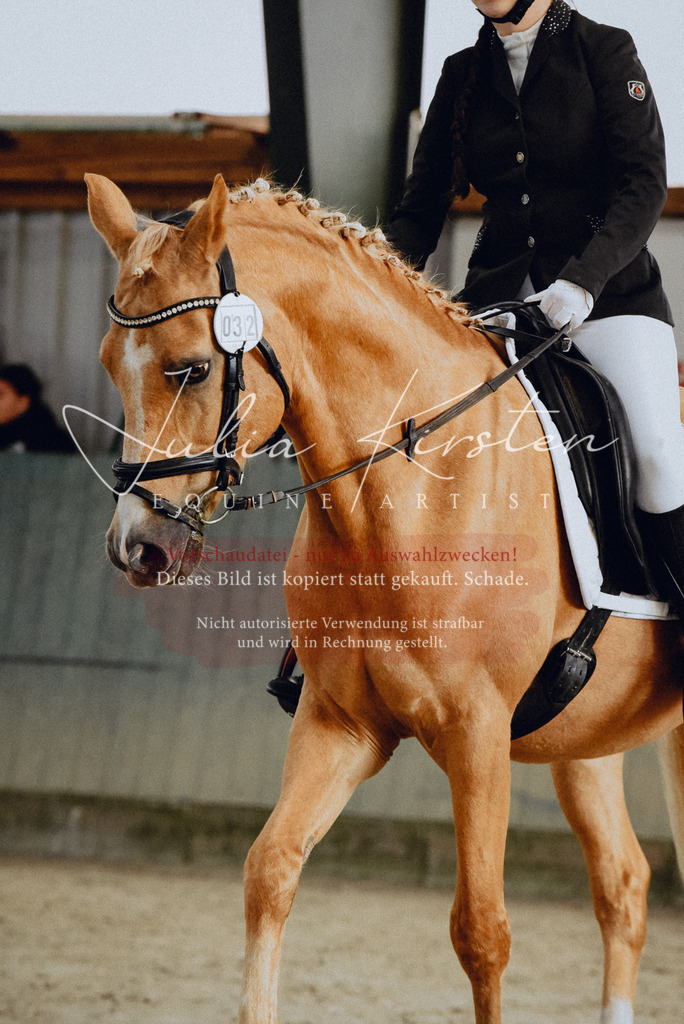DSC_7201 | Pferde- und Turnierfotografie in Westsachsen. Pferdeportraits, Auftragszeichnungen und intuitive Kunst.