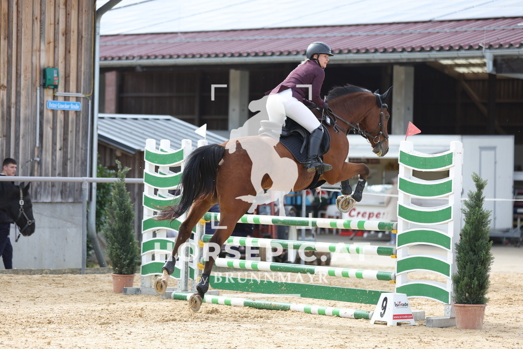 0P6A4448 | Willkommen bei Brunnmayr - Design & Fotografie – Ihrem Spezialisten für Reitturniere und Pferdeveranstaltungen in Oberösterreich, Salzburg und Bayern! Seit über 17 Jahren sind wir leidenschaftlich dabei.