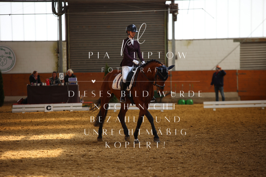 IMGT4715 | pl-fotografie