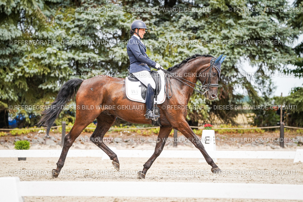 DSC05487 | Pferdegrafie