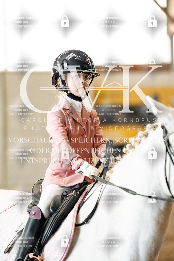 CK905984 | Turnierfotografie Pferdefotografie Trier Rheinland-Pfalz Pferdesport Reitsport Tierfotografie Sportfotografie Pferdevideo Pferdevideografie Equestrianvideography equestrianphotography  - Realized with Pictrs.com