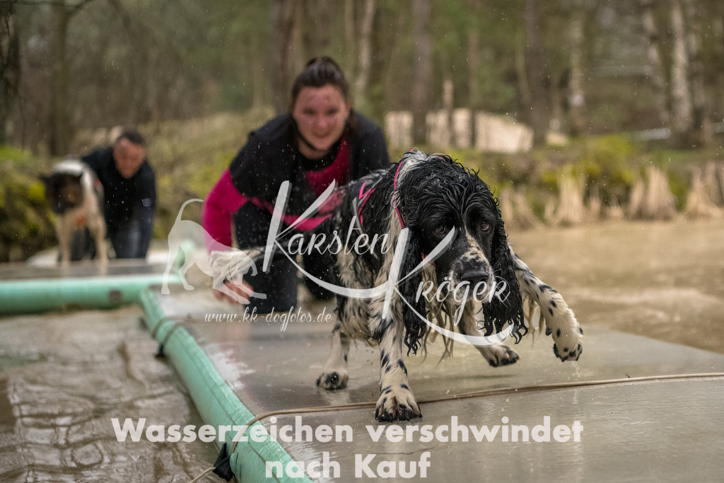 1056_ZZ93764-Bearbeitet | kk-dogfotos