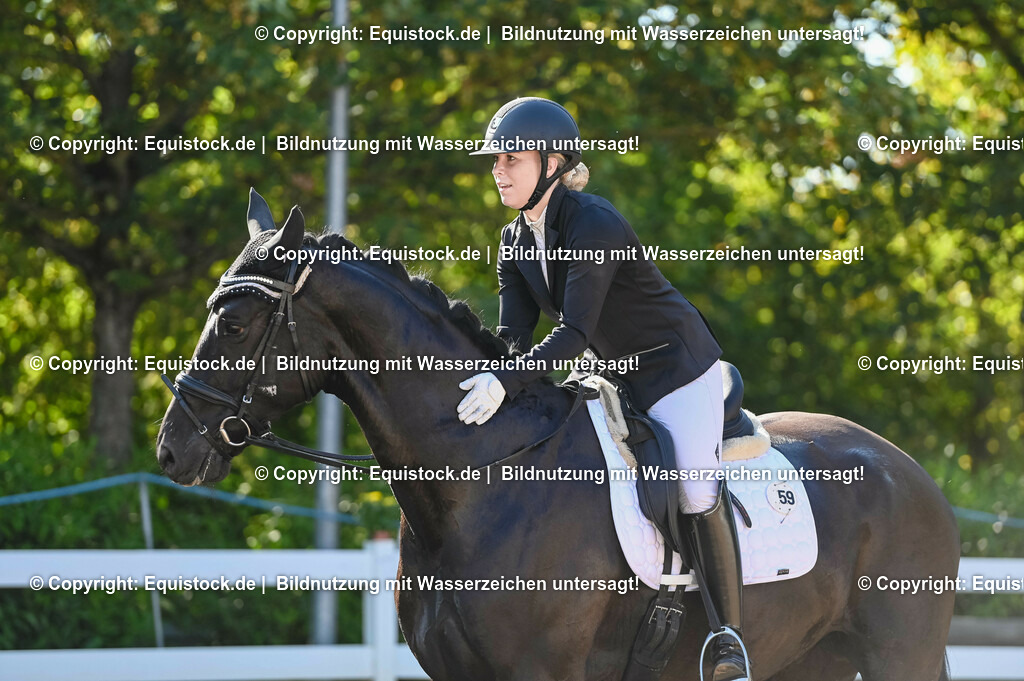 20230715_06_Dressurpferdeprfg. Kl.A_0112 | equistock