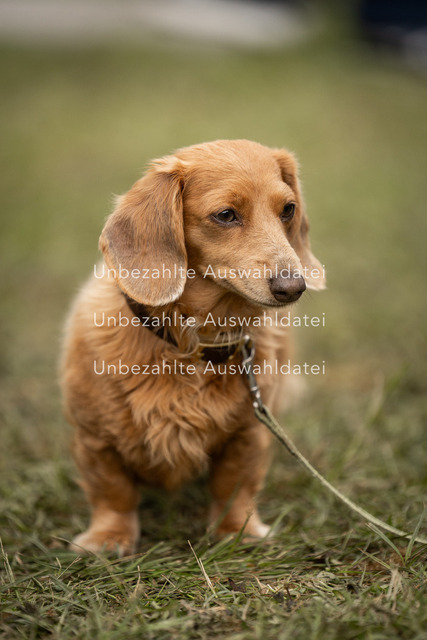 Bad_Meinberg_01042 | saradresslerfotografie - Realisiert mit Pictrs.com