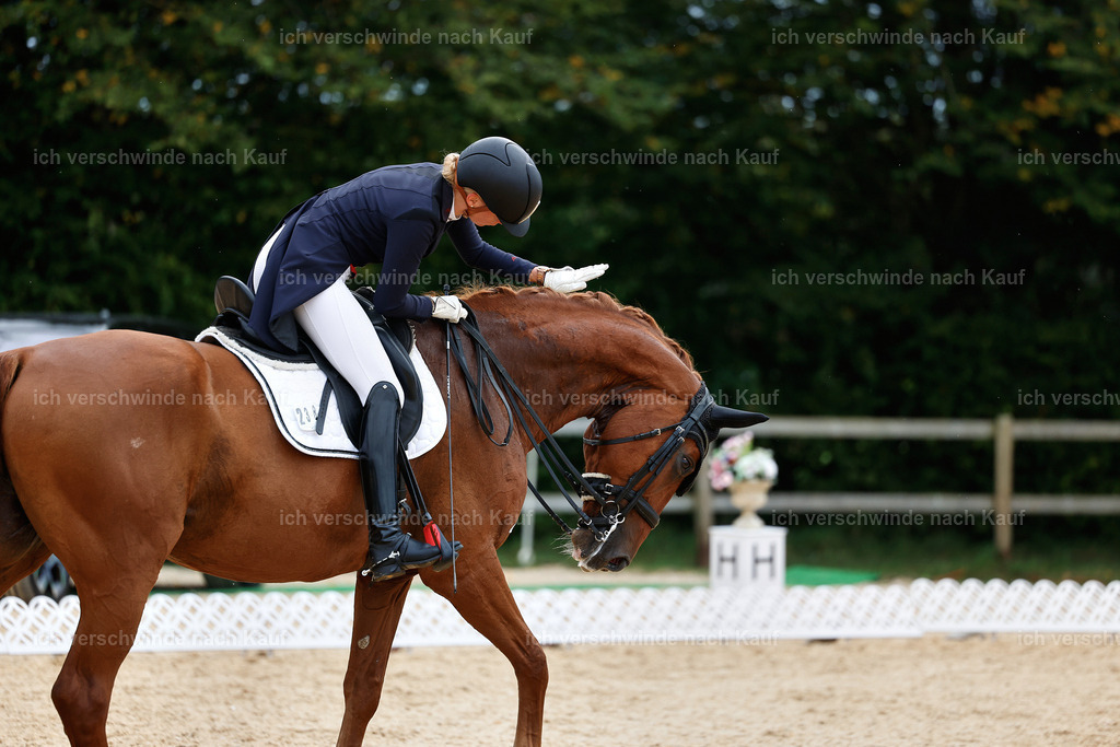 11-238-Dressur S___-StoibPH-998 | working equitationturnier fotograf videograf stoibphotography marixx film working equitation deutschland reitsport turnierfotografie eventfotografie equestrian events