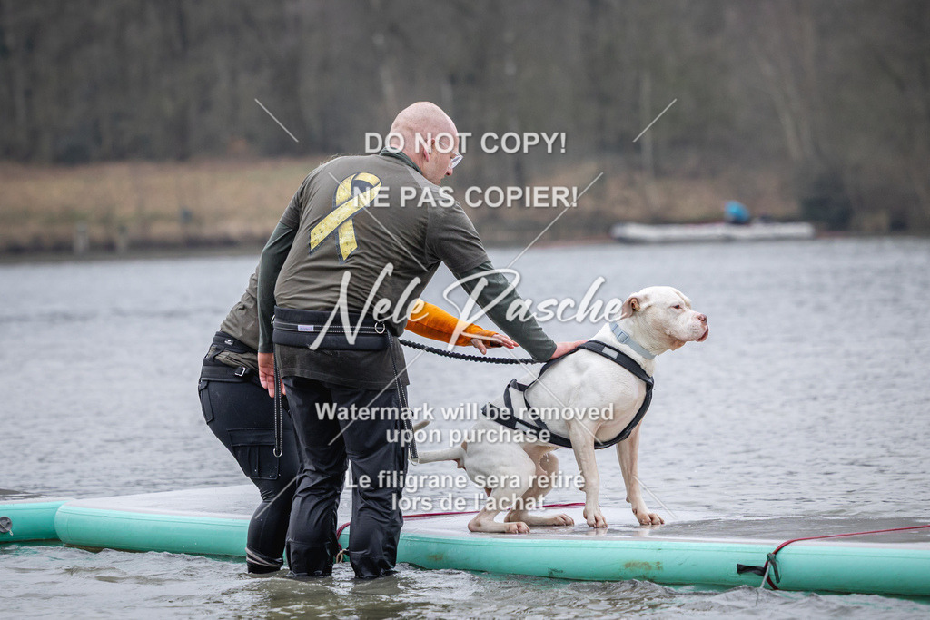 nelerasche_Hulsbeek_Sa1600-1700_237 | nelerasche
