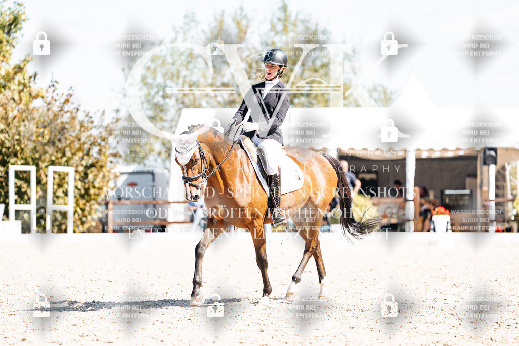 CK903667 | Turnierfotografie Pferdefotografie Trier Rheinland-Pfalz Pferdesport Reitsport Tierfotografie Sportfotografie Pferdevideo Pferdevideografie Equestrianvideography equestrianphotography  - Realisiert mit Pictrs.com