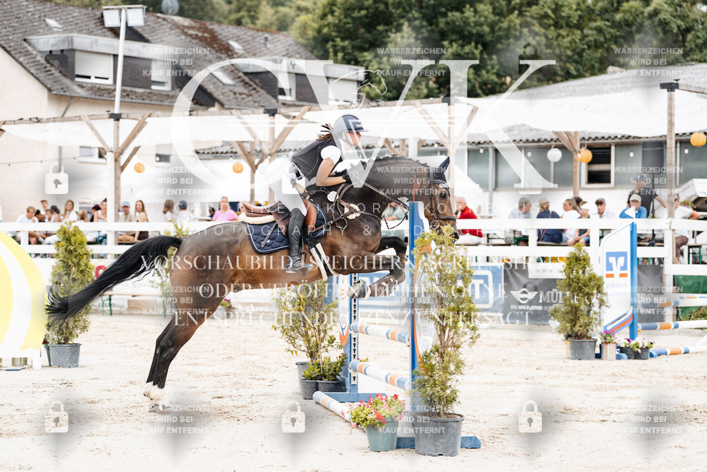 CK907970 | Turnierfotografie Pferdefotografie Trier Rheinland-Pfalz Pferdesport Reitsport Tierfotografie Sportfotografie Pferdevideo Pferdevideografie Equestrianvideography equestrianphotography  - Realisiert mit Pictrs.com