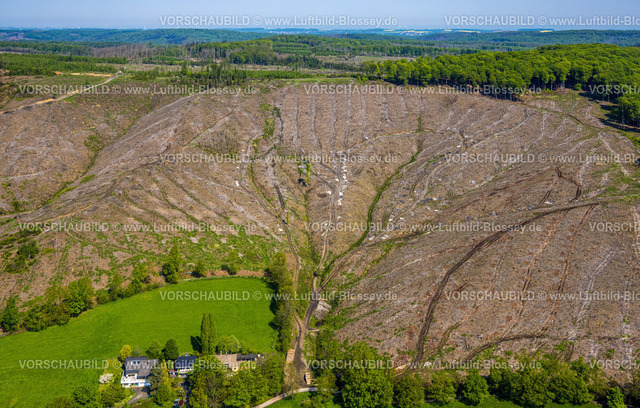 Arnsberg230500636 | Luftbild, Waldschäden bei Oeventrop, Glösingen, Arnsberg, Sauerland, Nordrhein-Westfalen, Deutschland