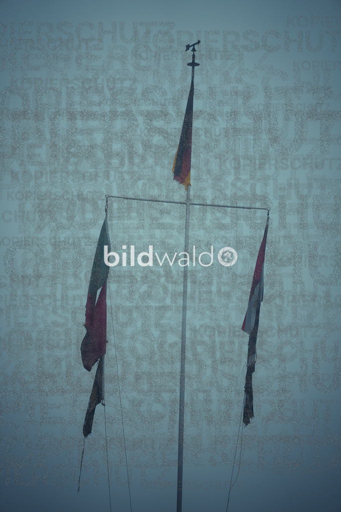 christmas tree elsfleth crazy mad thingy-4203 | BILDWALD - eine Auswahl an Bildern von Thomas Perrotton zum bestellen und genießen. Alle Bilder von Thomas Perrotton - Alle Bilder mit einer SONY Kamera gemacht - SONY TAMRON SIGMA PHOTOSHOP LIGHTROOM BILDWALD Online kaufen Bilderwald Wandbilder - Realisiert mit Pictrs.com