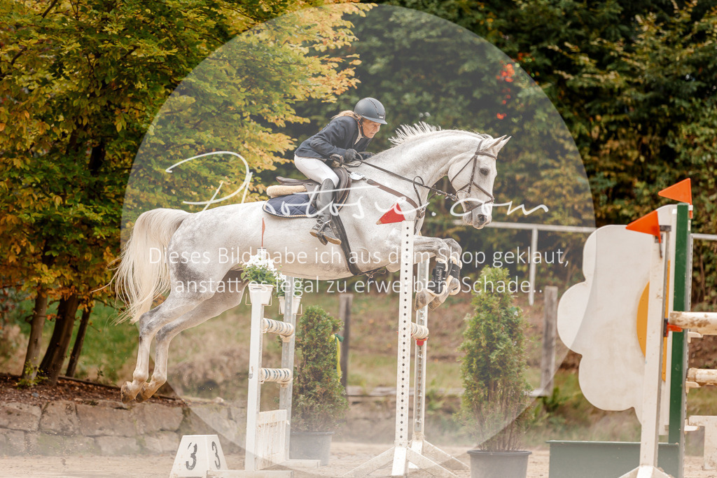 3I6A8088 | Stimmungsvolle Portraits und Reitsportfotografie im Ruhrgebiet und im Münsterland.

Pferdefotografie, Hundefotografie, Tierfotografie, Reportagen, Portraits von Tier und Mensch, Turnierfotografie in Bochum, Recklinghausen, Marl, Haltern am See, Dülmen.. - Realisiert mit Pictrs.com